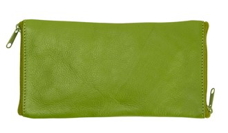 Double Sided Spectacle Case with Rear Zip - 2020 Apple