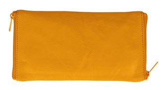 Double Sided Spectacle Case with Rear Zip - 2020 Mango