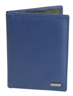 6 Card Passport Wallet / Cover - 3047 Blue